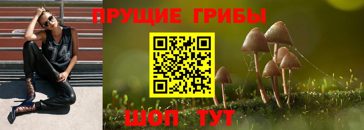Псилоцибиновые грибы ЛСД Вышний Волочёк